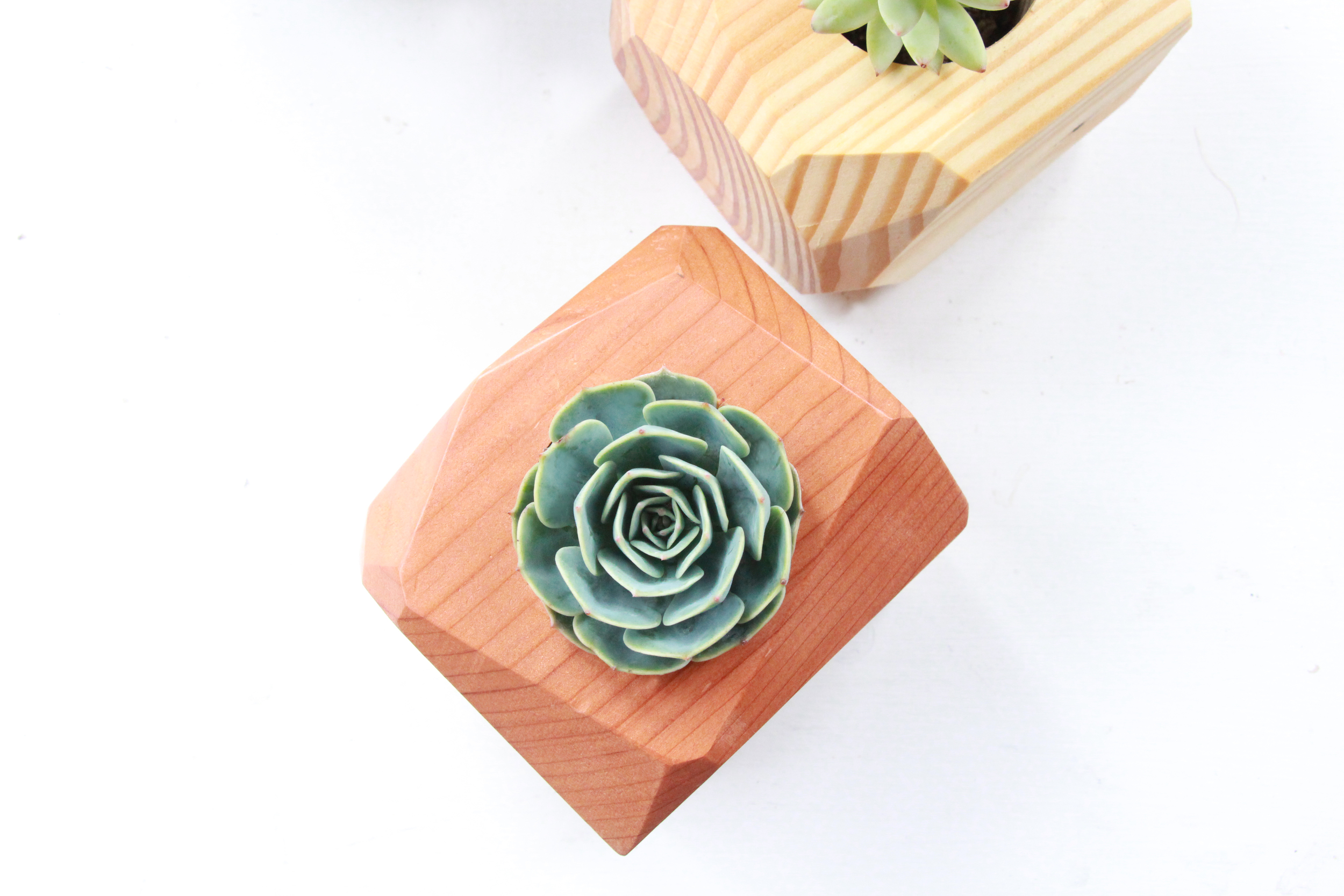 geometric-wood-succulent-planter-kinsfolk-accessories-needlesandleaves_net.jpg